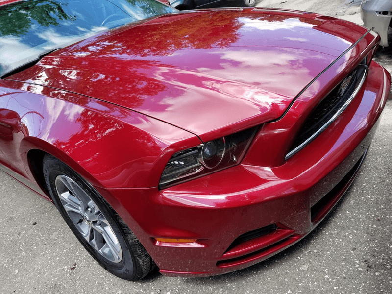 Maroon Mustang after paint correction